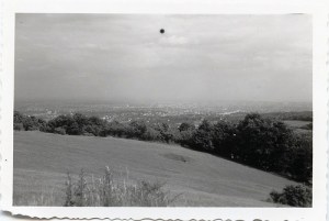 3063349263_0f47acee0f