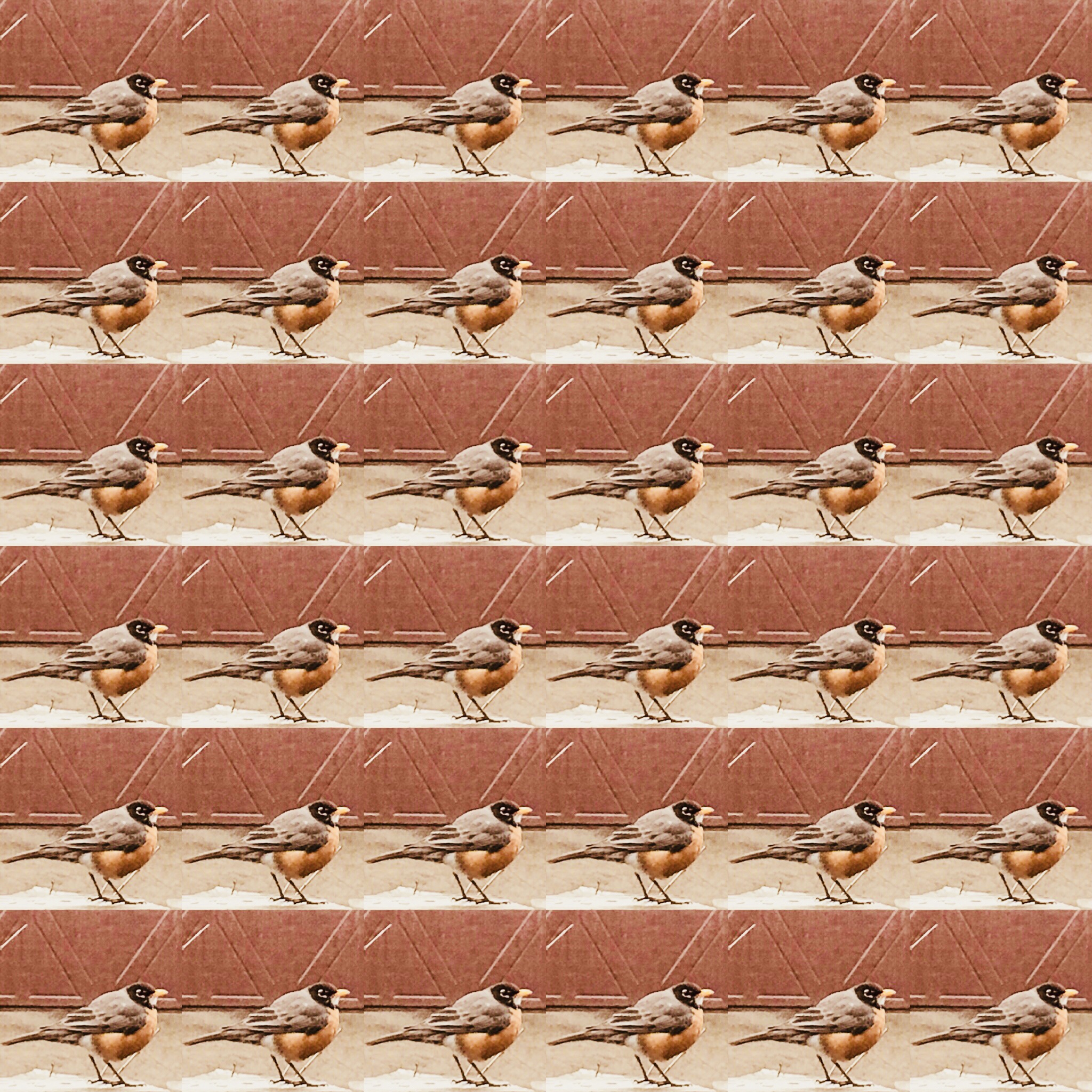 7E8E8A31-E8A5-4C91-B53B-F60D0BAA97C6