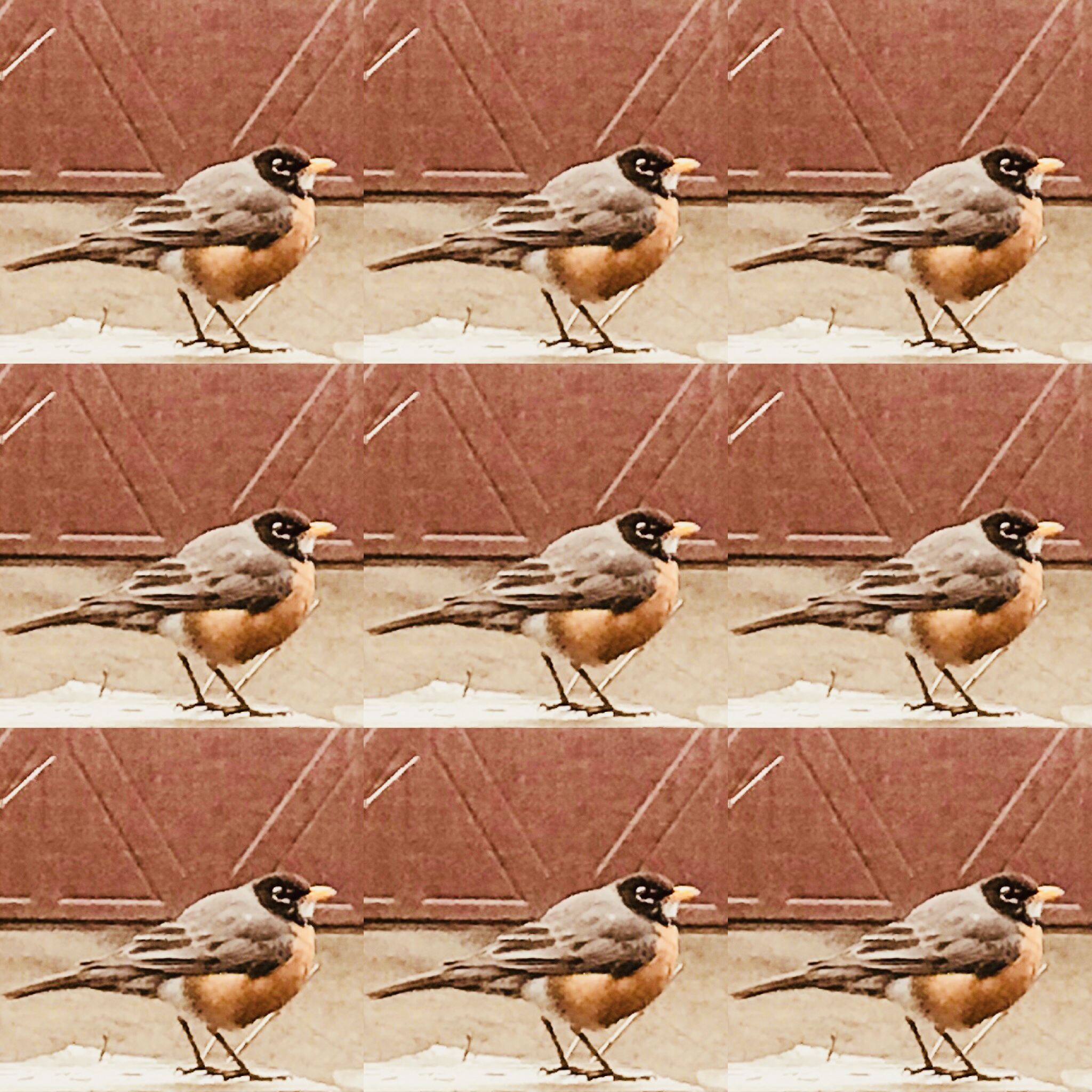 EE024432-D97D-4C6B-B403-E2ED7AC161DA (1)