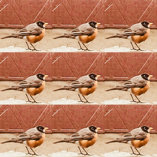 EE024432-D97D-4C6B-B403-E2ED7AC161DA (1)