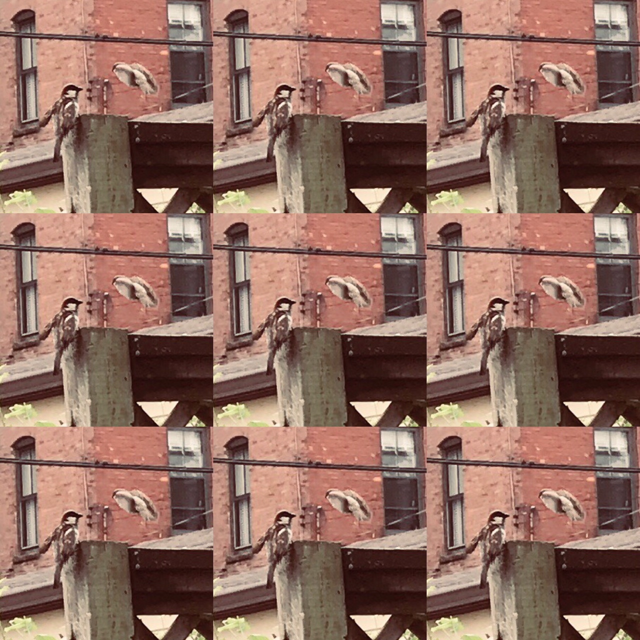 847D2463-F312-4DF2-B9BE-49C8B761BF56