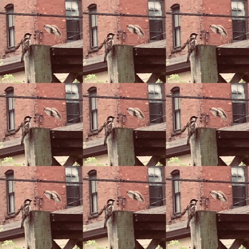 847D2463-F312-4DF2-B9BE-49C8B761BF56